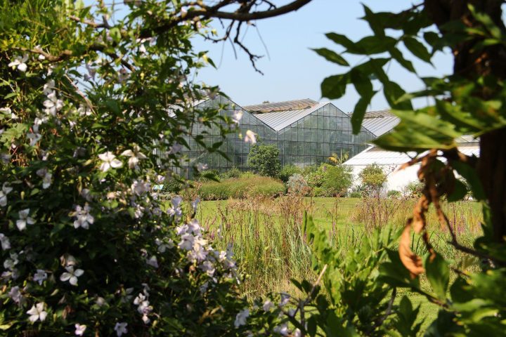 Utrecht University Botanical Gardens