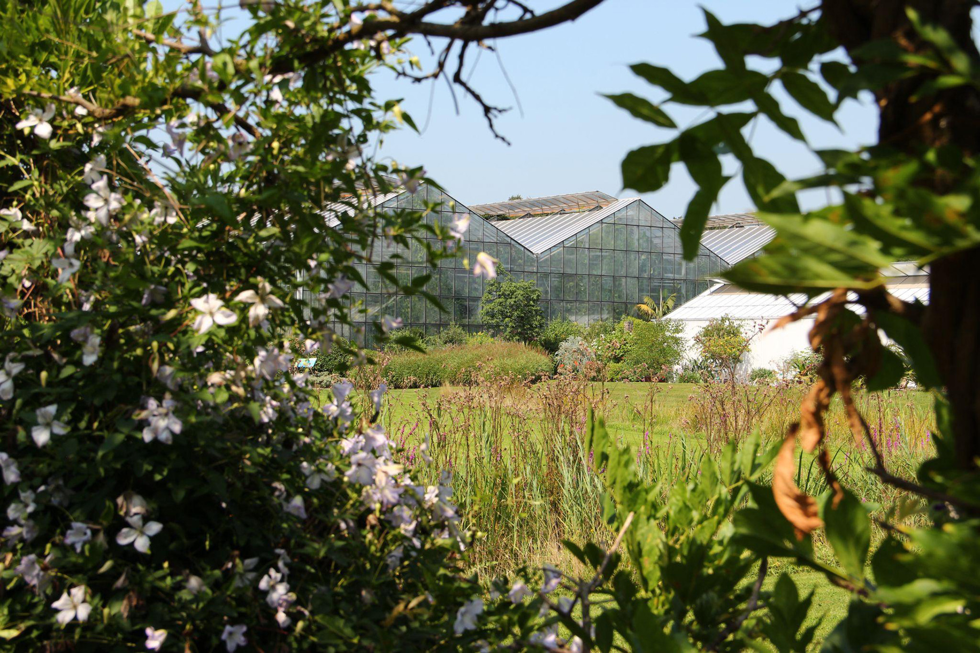 Pictures of Utrecht Botanical Garden